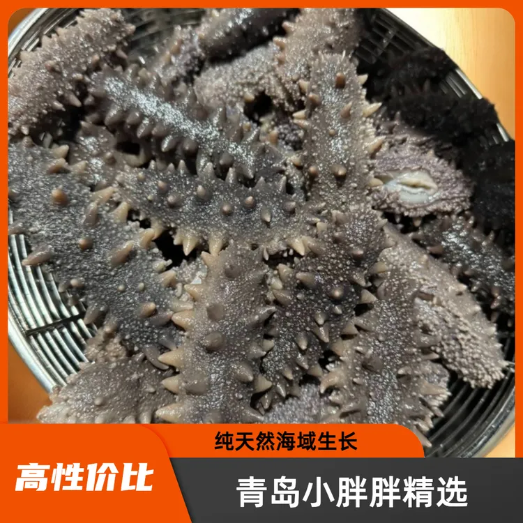 【中秋海参礼盒·大连鲜食海参】海参源头好货｜筋道好口感 顺丰包邮