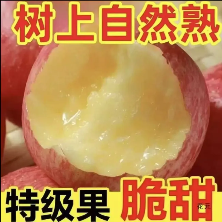 X陕西新鲜苹果红富士苹果新鲜水果脆甜多汁产地直发批发价