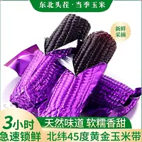 （手拎兜）（试吃3支）头茬东北黑糯玉米新鲜现摘香甜粘糯可代餐8支装