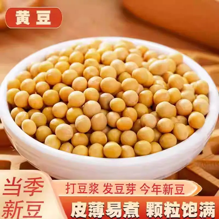 新黄豆黑龙江东北海伦新黄豆打豆浆农家自种大豆