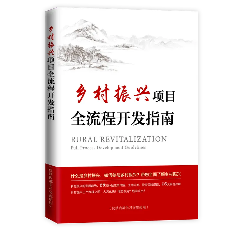 乡村振兴项目全流程开发指南