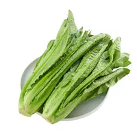 油麦菜 500g
