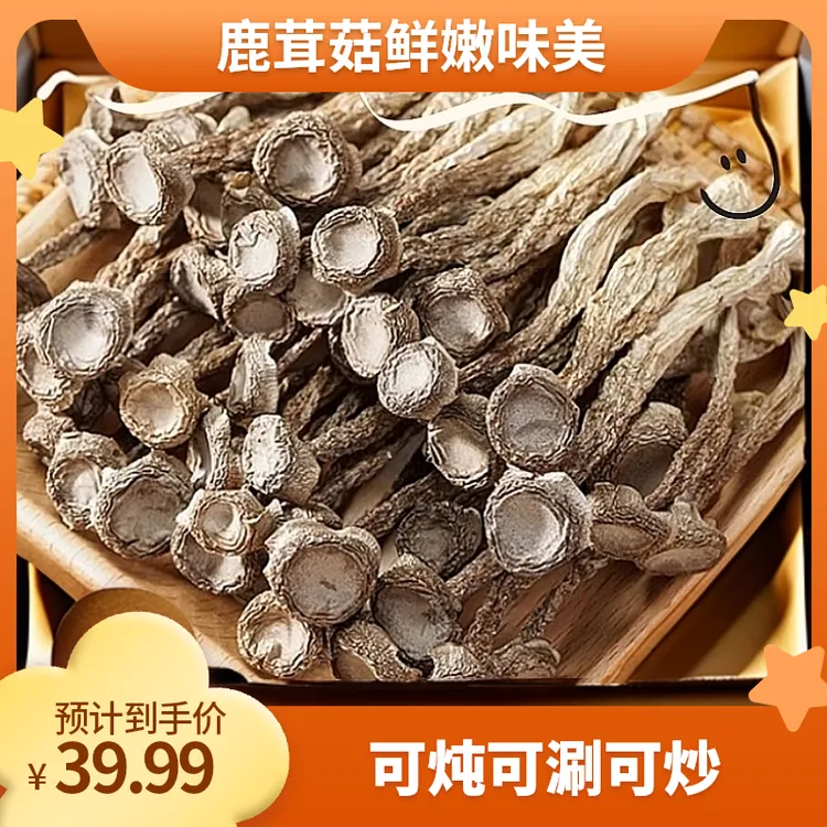 1-精选当季新鲜鹿茸菇脆嫩爽口爆炒煲汤鲜香味美老少皆宜
