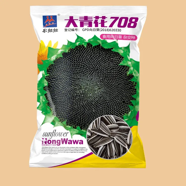 大青花708食葵产量稳定