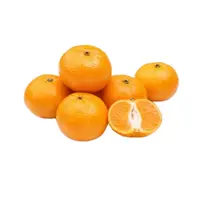 福建红土蜜桔散称约500g