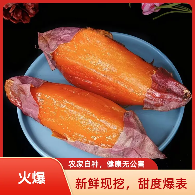 新鲜现挖沙地糖心蜜薯烟薯25号软糯香甜流油超甜