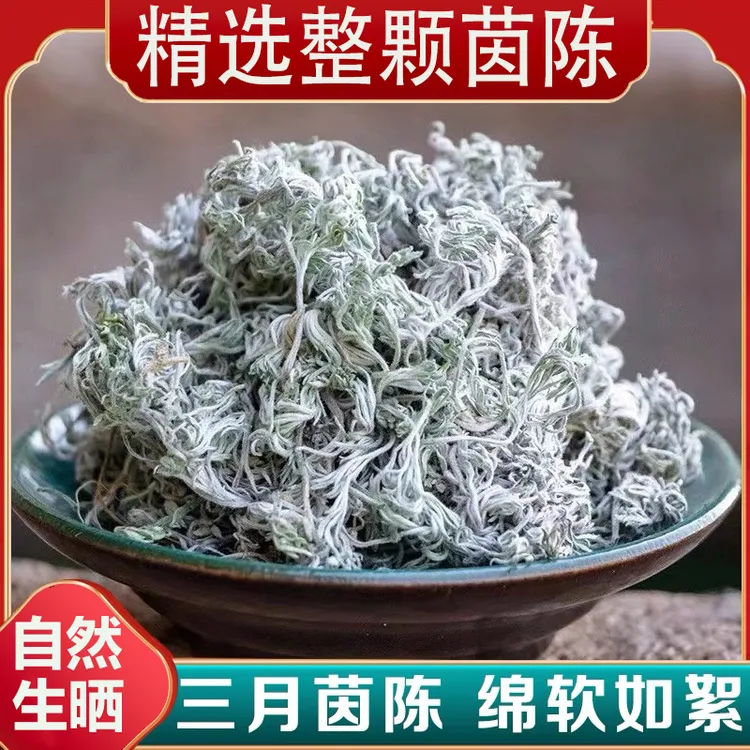 茵陈新鲜茵陈干货泡水喝茵陈个整个新鲜茵陈茶干净筛选