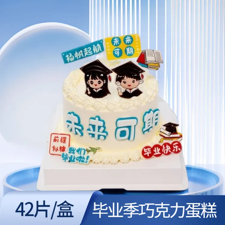 未来可期小红书网红毕业蛋糕装饰巧克力甜品西点冰淇淋烘焙装饰