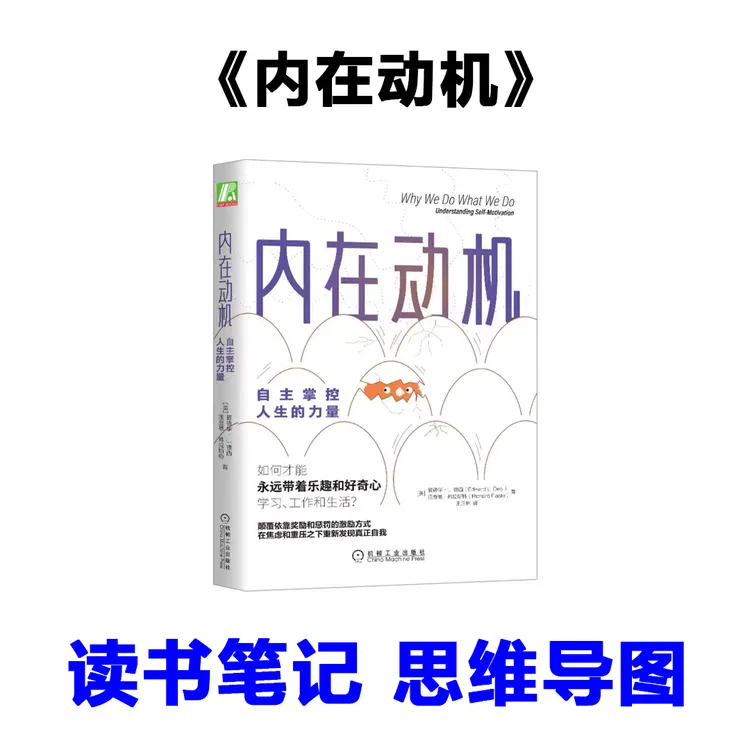 《内在动机》个人读书笔记 思维导图【非纸质】【非电子书】