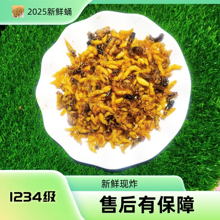 树蜂2025年1234级黄蜂蛹 蜂儿子油炸蜂蛹下酒菜3级带内脏介意勿拍