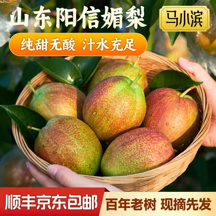 【京东包邮】产地直发正宗山东阳信媚梨香梨雪梨脆甜多汁高质量水果