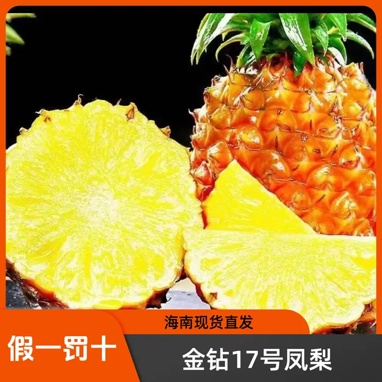 【海南现货直发大果】金钻17号凤梨清甜多汁自然成熟jx2