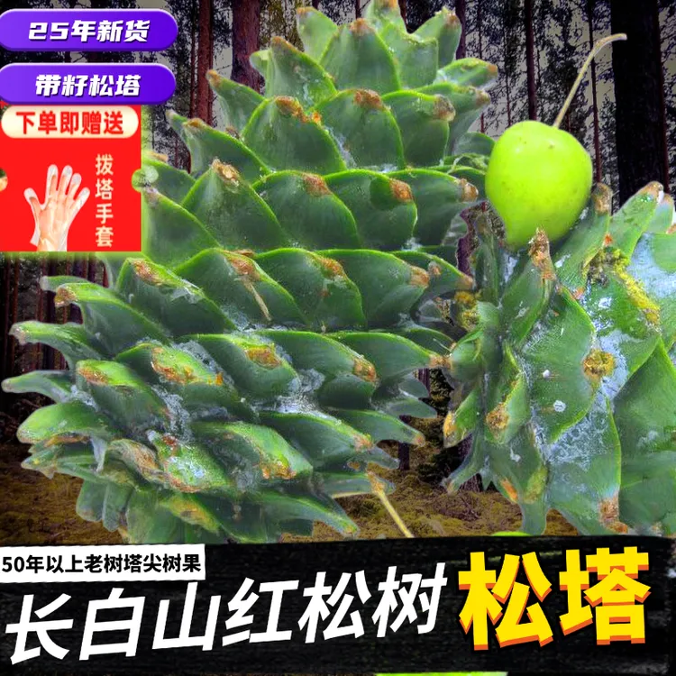 【长白山新鲜松塔/松果】红松带籽松塔多用途食用摆件松鼠粮食