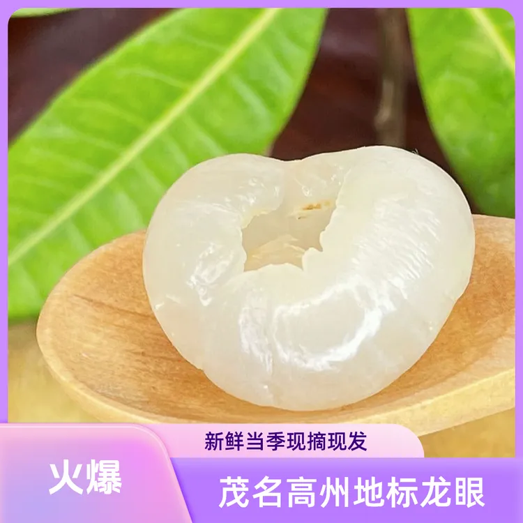茂名高州新鲜当季地标石硖金奖储良龙眼现摘现发龙眼顺丰次日达
