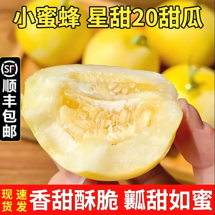 山东头茬小蜜蜂甜瓜新鲜香甜当季水果沂蒙星甜20香瓜脆瓜