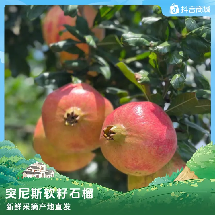 【顺丰包邮】正宗四川突尼斯软籽石榴新鲜当季水果多汁产地直发