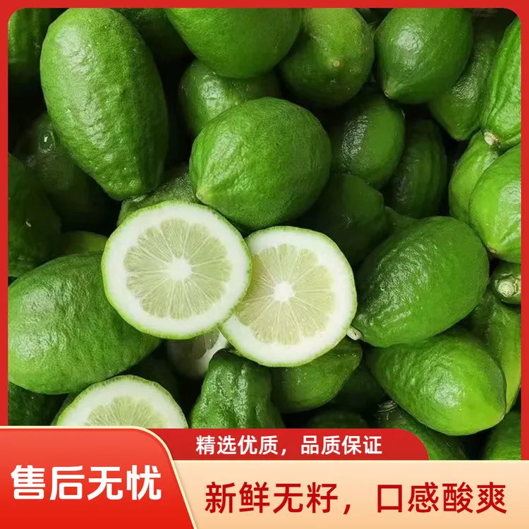 新鲜采摘广东香水柠檬清香型适合手打柠檬茶奶茶柠檬新鲜柠檬
