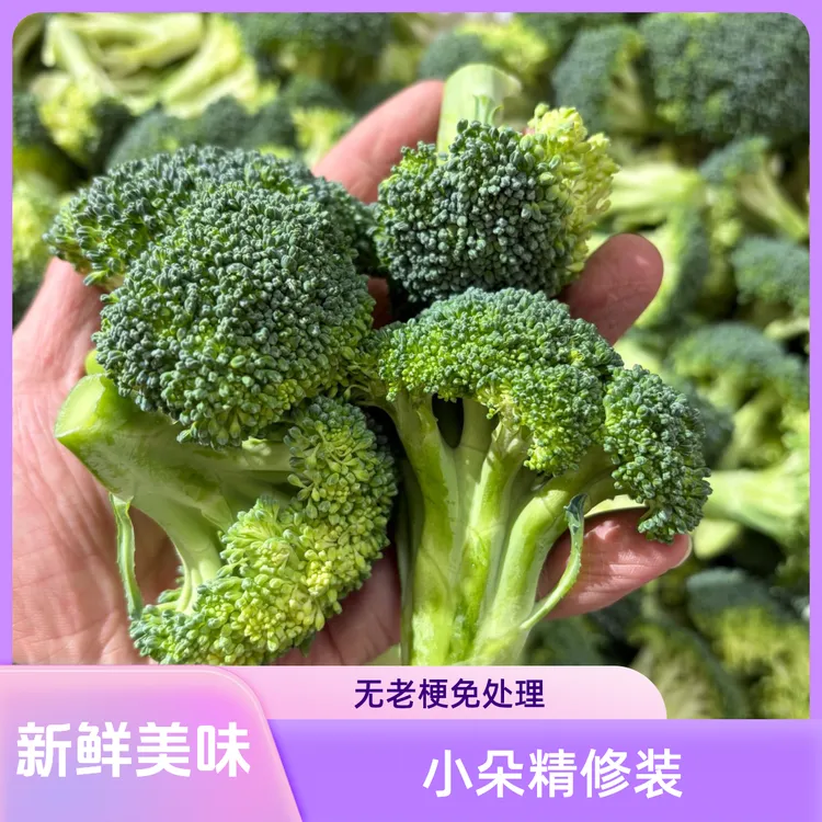 【现掰小朵精修装】无老梗免处理西兰朵+甜脆爆汁+顺丰包邮