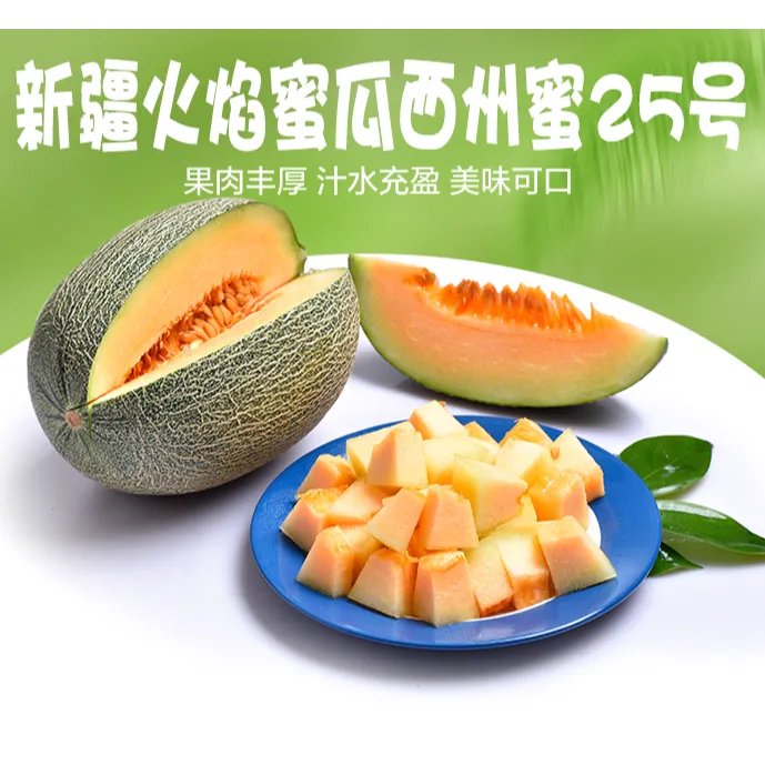 新疆正宗新鲜水果吐鲁番西州蜜25号 哈密瓜香甜爽脆
