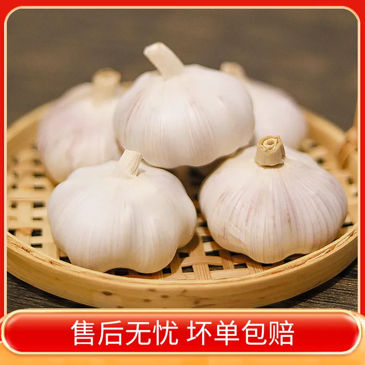 山东金乡紫白皮蒜头茬无硫熏干蒜炒菜必备囤货必选