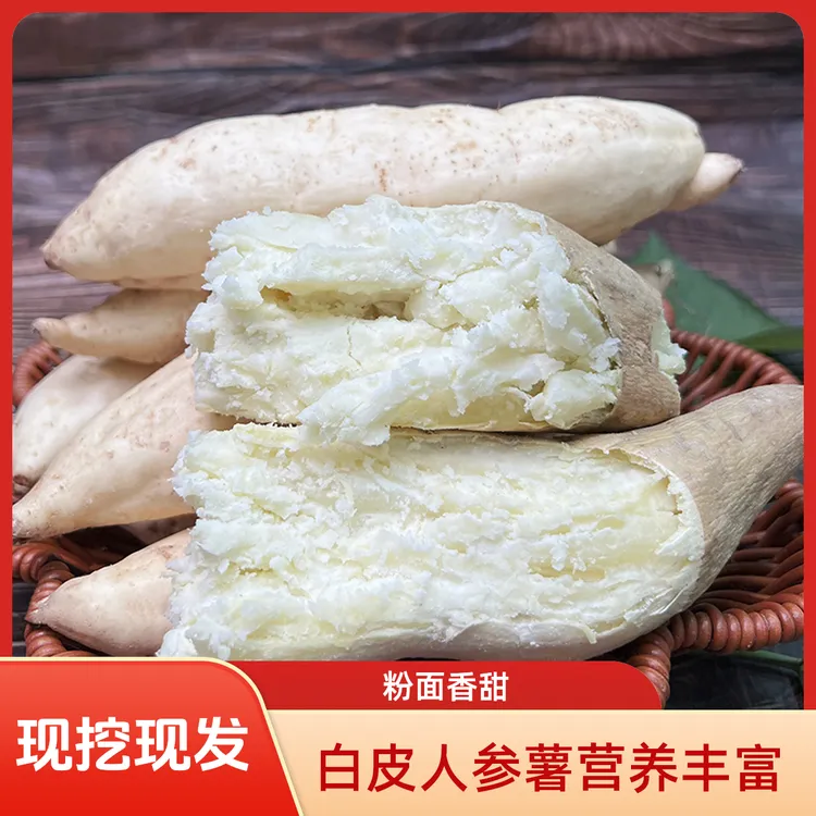 新鲜现挖白皮人参薯白心红薯牛奶板栗薯鸡蛋黄薯干面粉糯甜地瓜