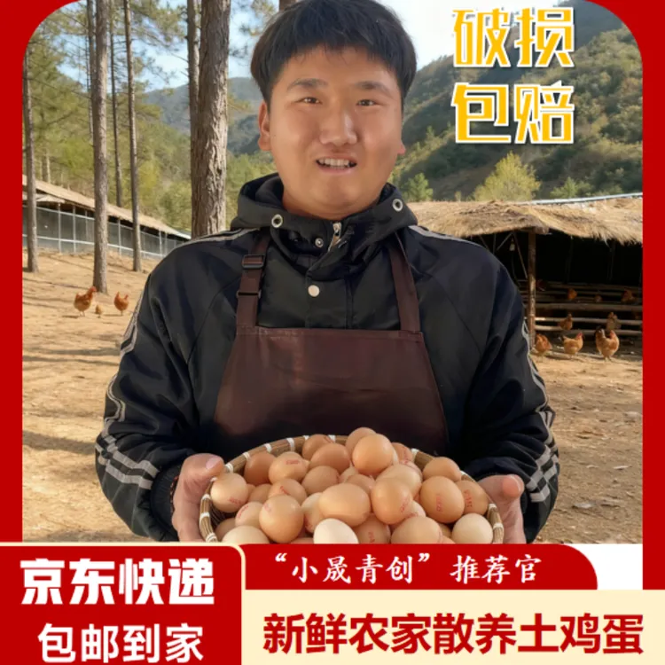 农村散养土鸡蛋柴鸡蛋