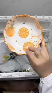 【闪购商品】5342回流瓷器默认微瑕，18.8包邮