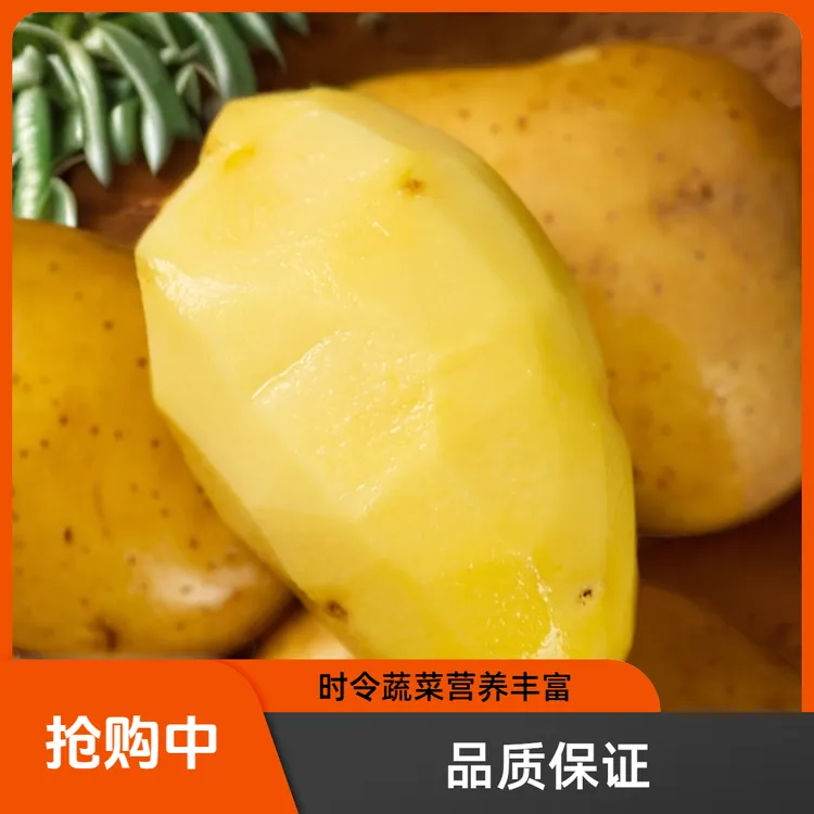 【到手带箱9.5-10斤】2025河南新鲜土豆沙地黄皮黄心马铃薯现挖土豆