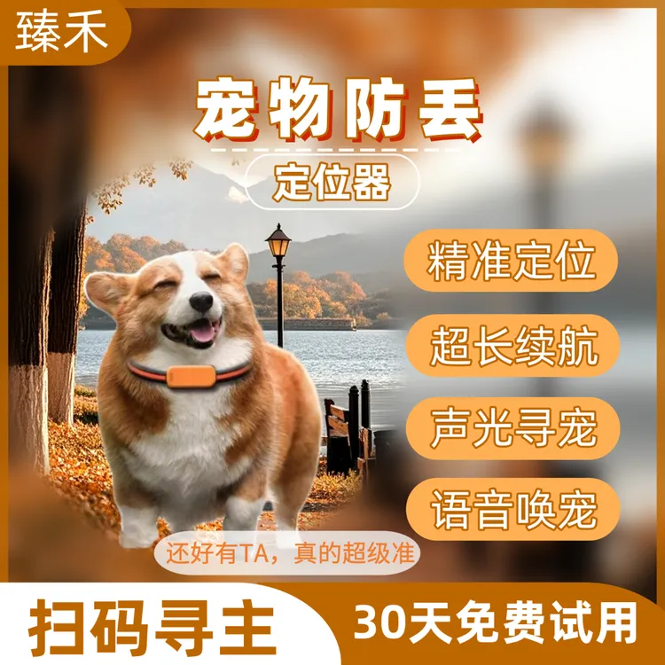 宠物定位器狗狗猫咪防走丢项圈GPS定位器防丢追踪器宠物电话手表