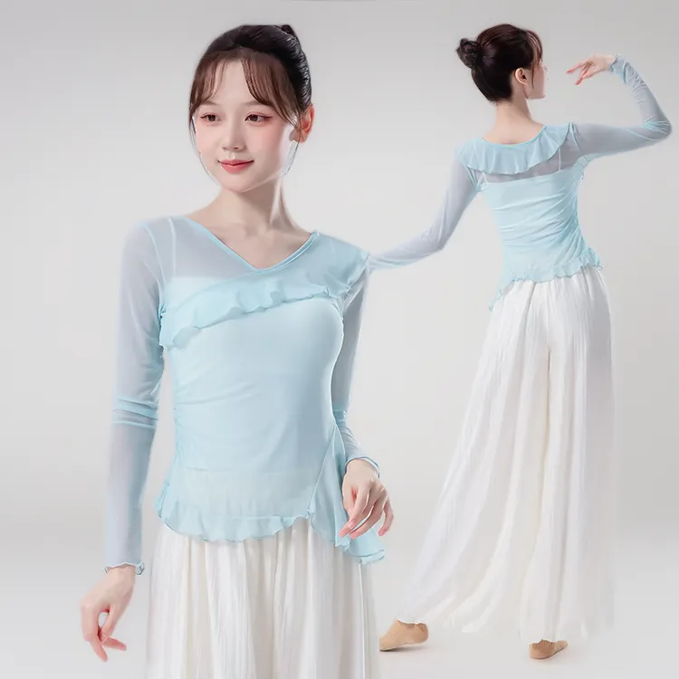 古典舞蹈服女早秋新款网纱荷叶领长袖上衣中国舞现代舞形体练功服