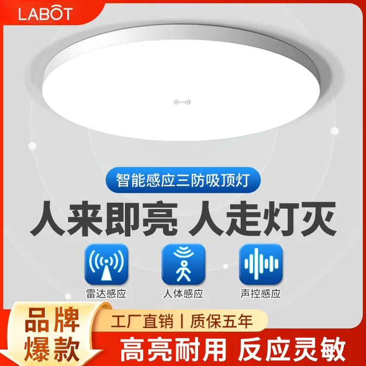智能感应吸顶灯阳台走廊过道楼梯间楼道雷达人体感应灯简约声控灯