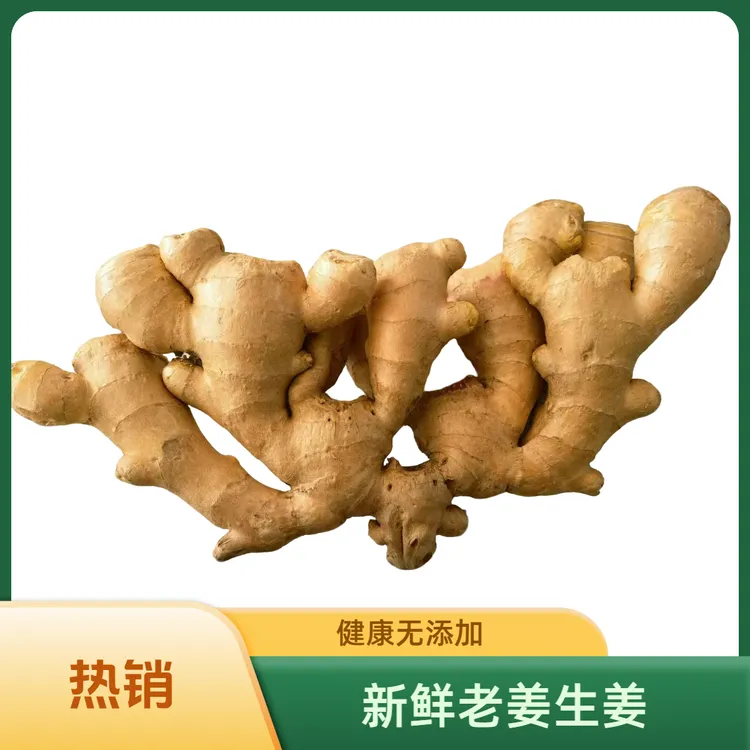 25年风干大姜水洗精品大姜正宗农家自种风干新鲜辛辣大姜包邮