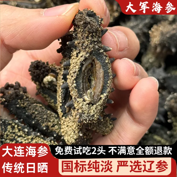 【琥珀口】淡干海参深海刺参海参淡干海参高倍泡发率