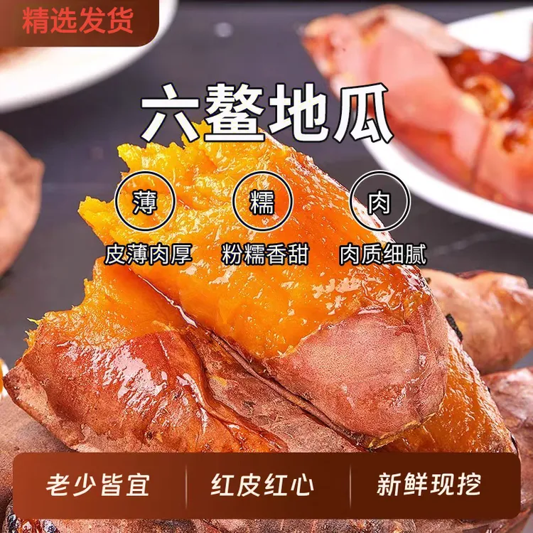 漳州正宗沙地板栗红薯地瓜红皮地瓜软糯香甜番薯糖心蜜薯现挖现发
