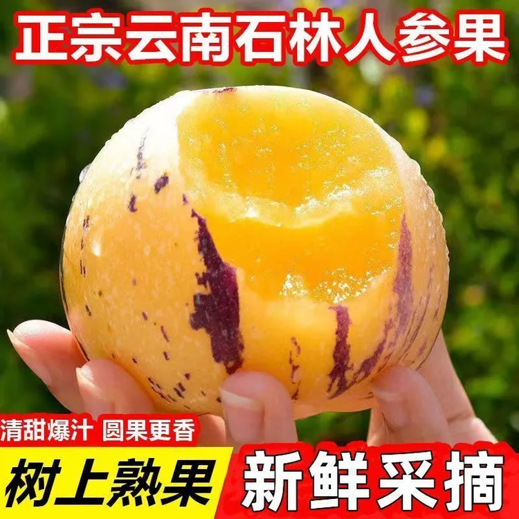 【净重5斤】云南石林人参果产地直发新鲜黄皮紫纹外观当季新鲜水果