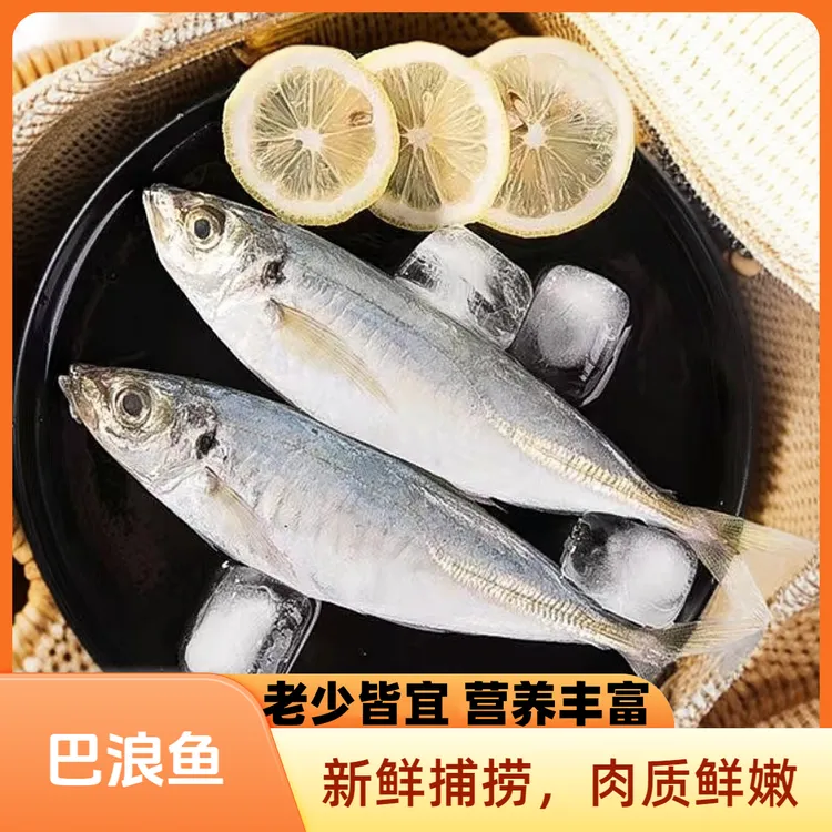 [当天新货]海捕巴浪鱼新鲜海鱼竹池竹夹鱼秋刀竹荚鱼红鲳鱼马友鱼