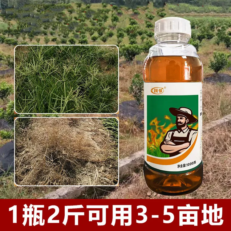 沃爷小飞蓬果园园林田埂荒地农用有机质