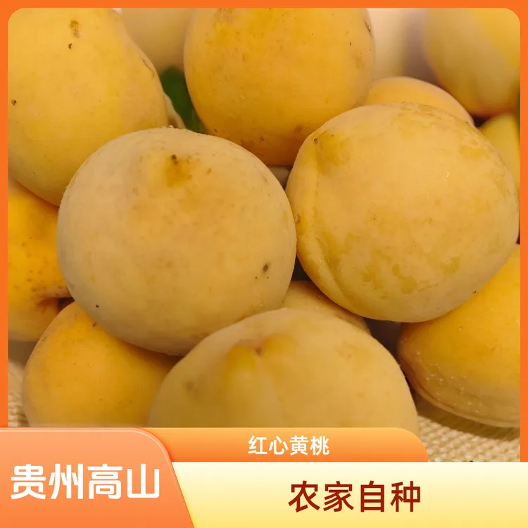 贵州高山红心黄桃新鲜现摘