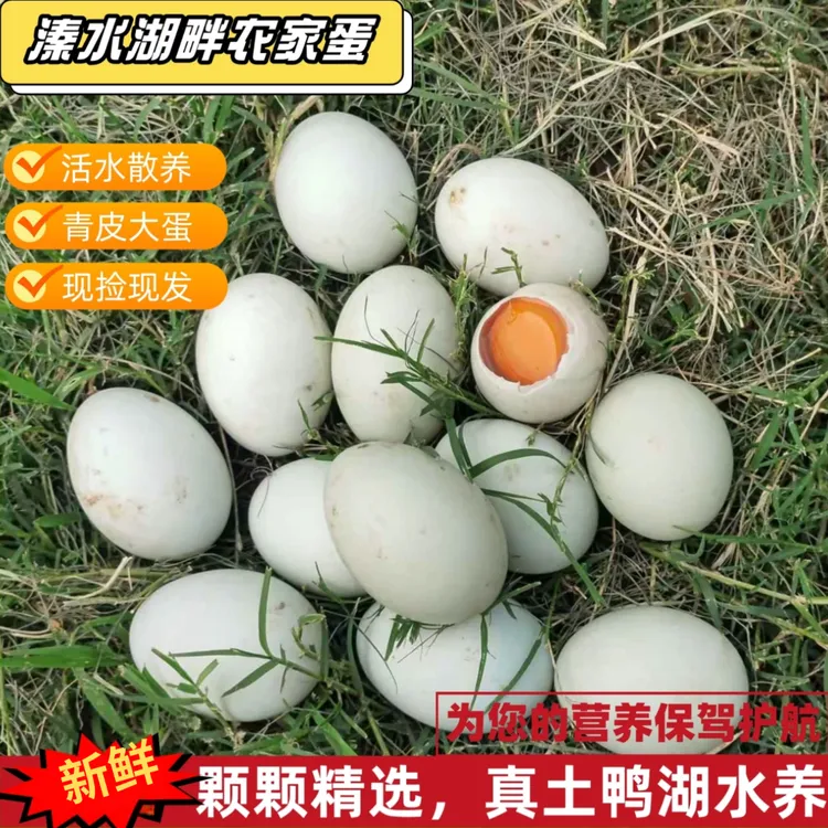 农家散养土鸭蛋生鲜鸭蛋现捡现发农家青壳蛋新鲜鸭蛋自用送礼精选