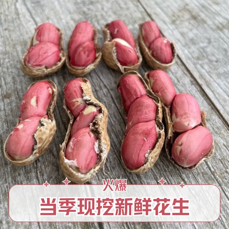 【水果花生】当季现挖新鲜带壳湿水果甜农家自种蔬菜花生