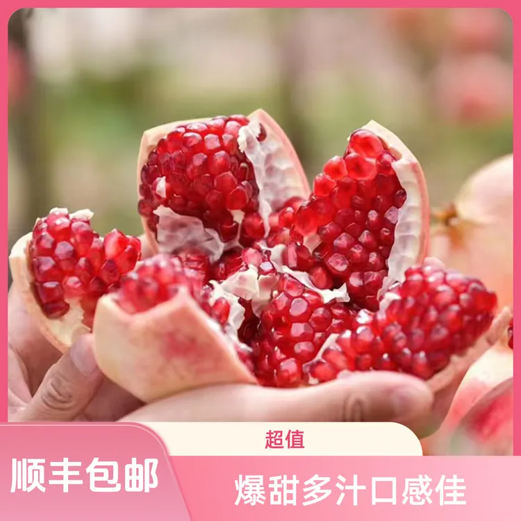《顺丰包邮》正宗大凉山会理突尼斯软籽石榴现摘现发爆甜多汁不吐籽