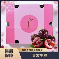 【智利JARA海运SANTINA车厘子】2J+D 箱装净果5斤 内附果径卡