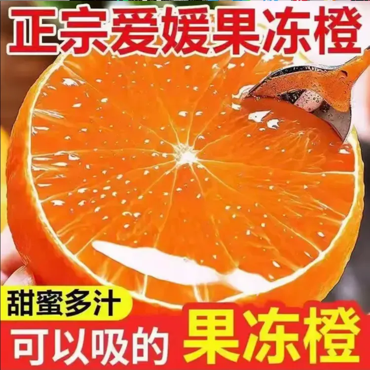 正宗四川眉山爱媛果冻橙新鲜现摘清甜爆汁细腻化渣应季水果XL 