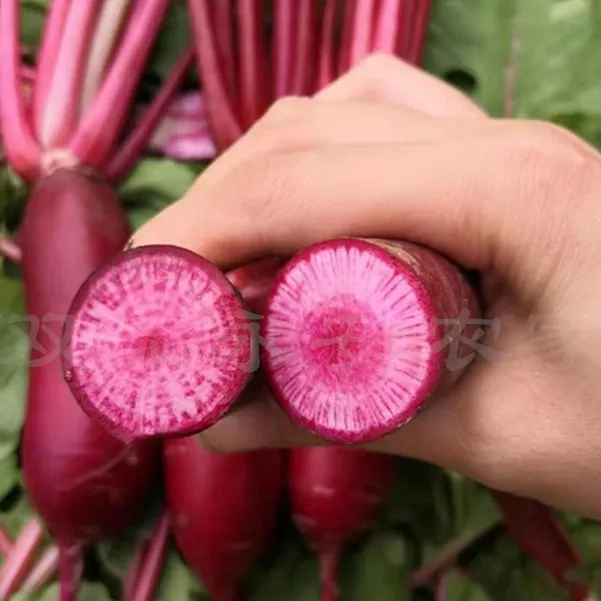 四川南充农家红皮红心萝卜新鲜心里美萝卜蔬菜胭脂泡菜丑萝卜凉粉