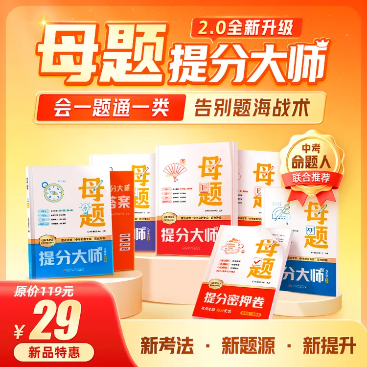 初中母题提分大师秘籍DS*