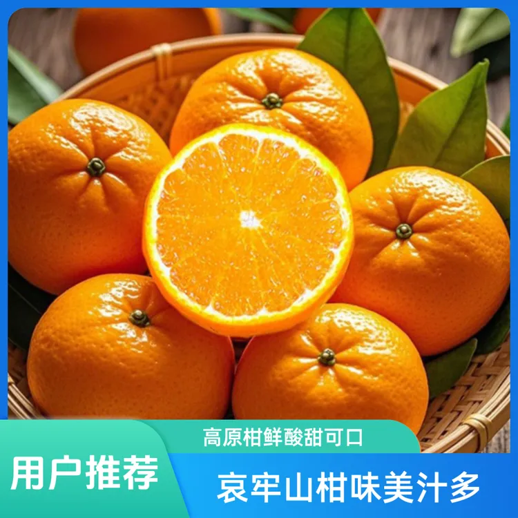 T高山老树沃柑新鲜现摘现发