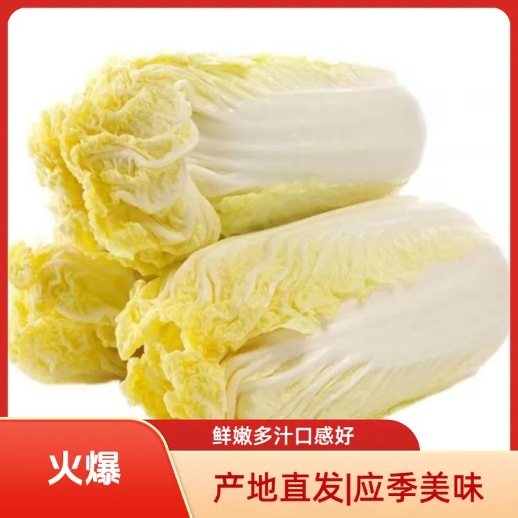 云南高原黄心娃娃菜黄心小白菜当季新鲜蔬菜露天种植现摘农家蔬菜