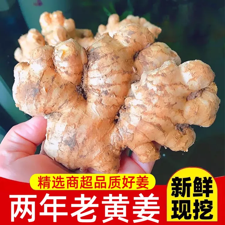 云南小黄姜老姜山区现挖生姜农家新鲜土姜1/3/5/9斤老黄姜