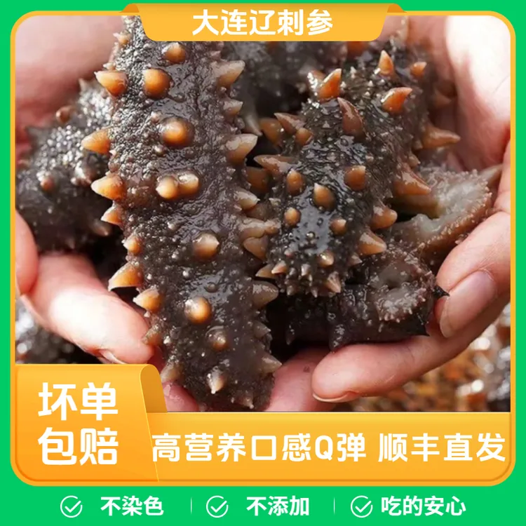【秋季头茬】纯劲道Q弹参王4-18头即食辽参活参加工滋补营养包顺丰