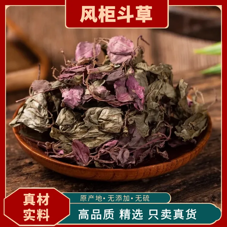 野生风柜斗草酸酸草风鼓草风骨草风谷草楮头红褚红草正品非鱼腥草